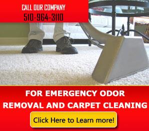 Carpet Cleaning El Sobrante, CA | 510-964-3110 | Call Now !!!